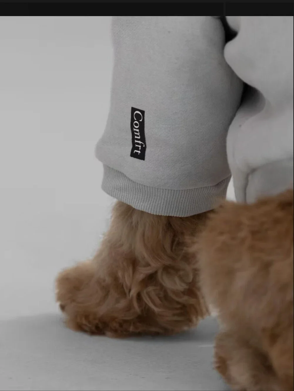 Comfrt Paw Hoodie Size Small